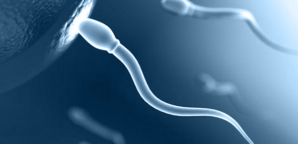 Спермограмма с морфологией и MAR-тестом