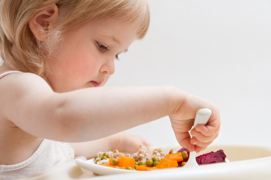 Вопросы питания детей от 1  года до 3 лет
